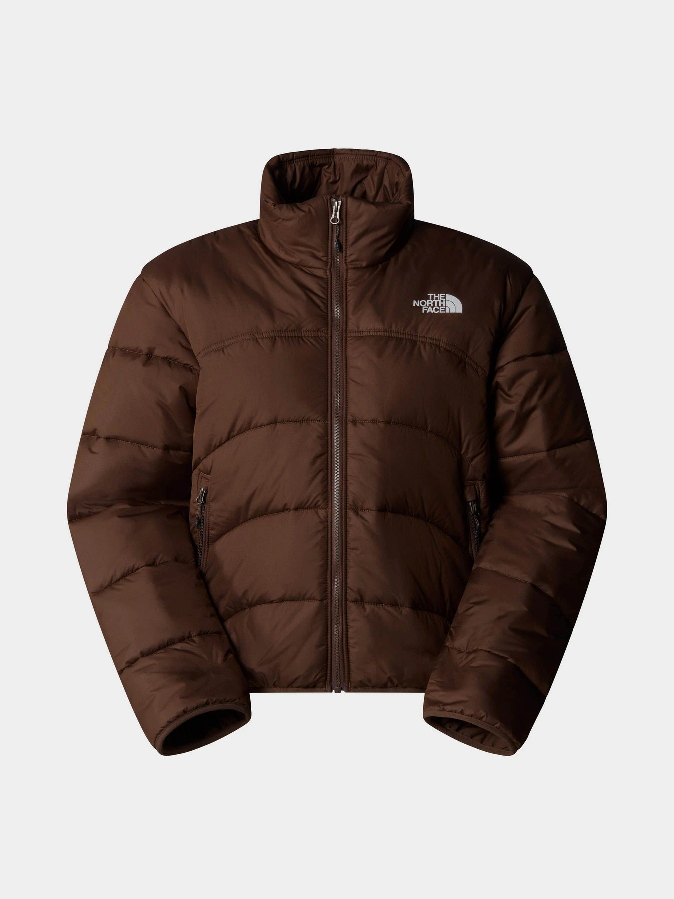 Куртки и дубленки The North Face 2000 модель NF0A7URF1OI1 Фото