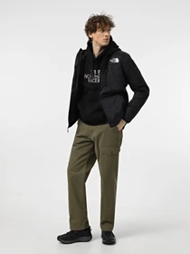 Куртки и дубленки The North Face Monterosa Light Synth модель NF0A7WZX4H01 Фото