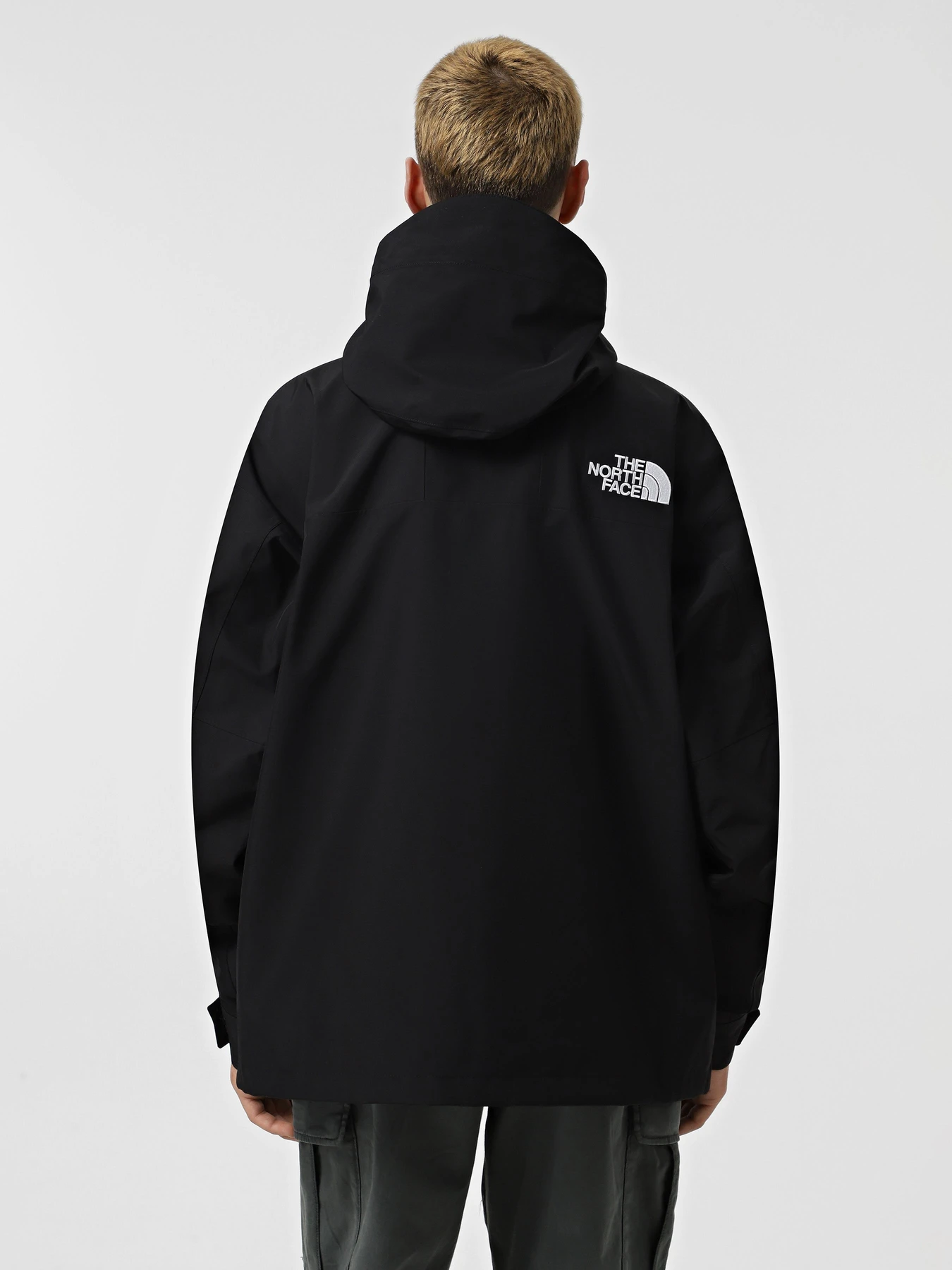 Куртки и дубленки The North Face GORE-TEX® Mountain модель NF0A831M4HF1 Фото