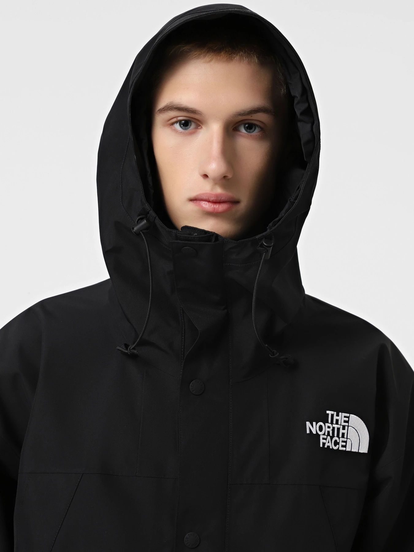 Куртки и дубленки The North Face GORE-TEX® Mountain модель NF0A831M4HF1 Фото