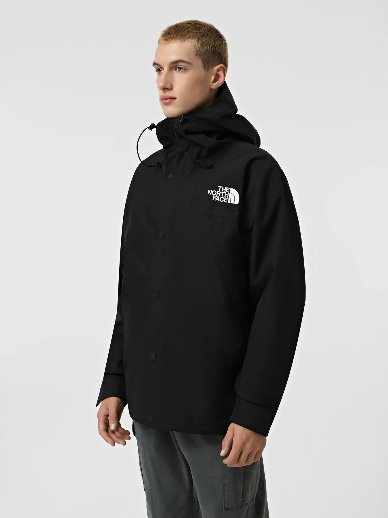 Куртки и дубленки The North Face GORE-TEX® Mountain модель NF0A831M4HF1 Фото