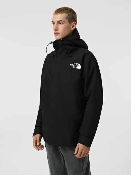 Куртки и дубленки The North Face GORE-TEX® Mountain модель NF0A831M4HF1 Фото