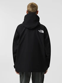 Куртки и дубленки The North Face GORE-TEX® Mountain модель NF0A831M4HF1 Фото