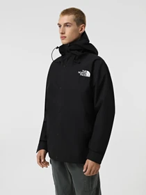 Куртки и дубленки The North Face GORE-TEX® Mountain модель NF0A831M4HF1 Фото