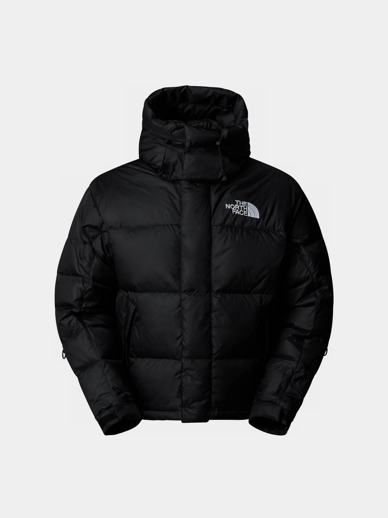 Куртки та дублянки The North Face Hmlyn Baltoro модель NF0A832G4H01 Фото