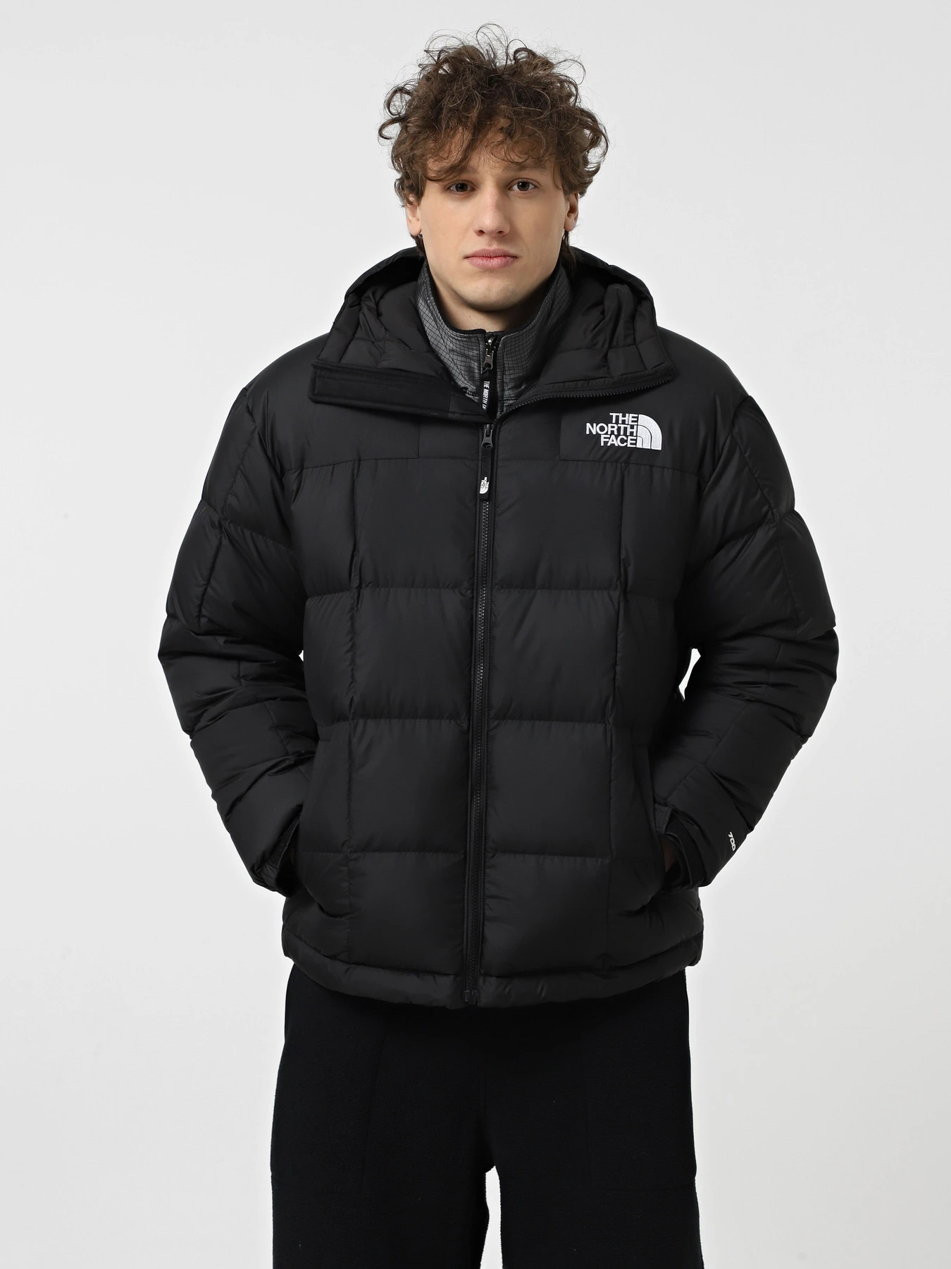 Куртки и дубленки The North Face Lhotse модель NF0A853C4H01 Фото