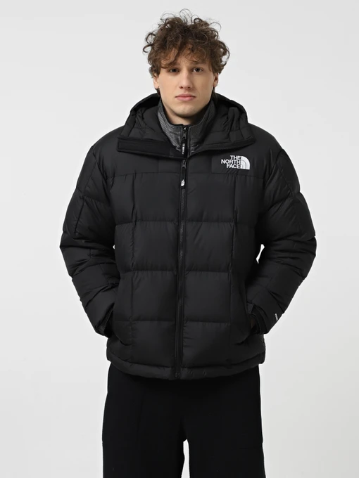 Куртки и дубленки The North Face Lhotse модель NF0A853C4H01 Фото