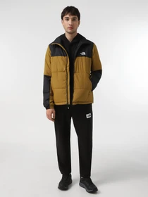 Куртки та дублянки The North Face Gosei Puffer модель NF0A87951OB1 Фото