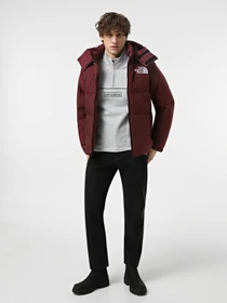 Куртки и дубленки The North Face Rmst Hmlyn Baltoro модель NF0A88KA1OO1 Фото