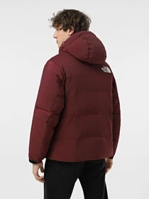 Куртки и дубленки The North Face Rmst Hmlyn Baltoro модель NF0A88KA1OO1 Фото