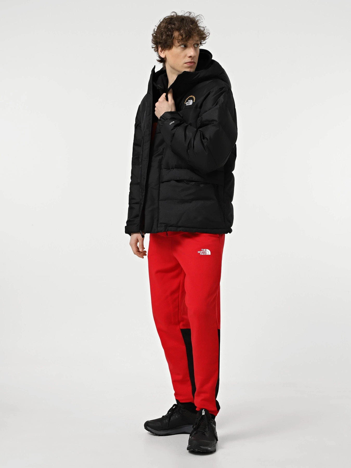 Куртки и дубленки The North Face Hmlyn 30 Anniversary модель NF0A88XEJK31 Фото