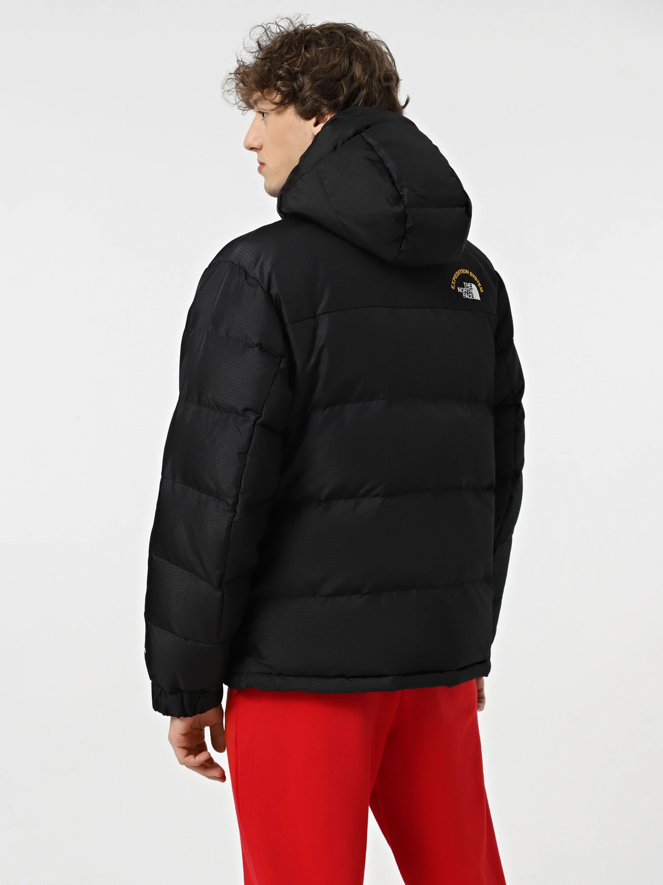 Куртки и дубленки The North Face Hmlyn 30 Anniversary модель NF0A88XEJK31 Фото
