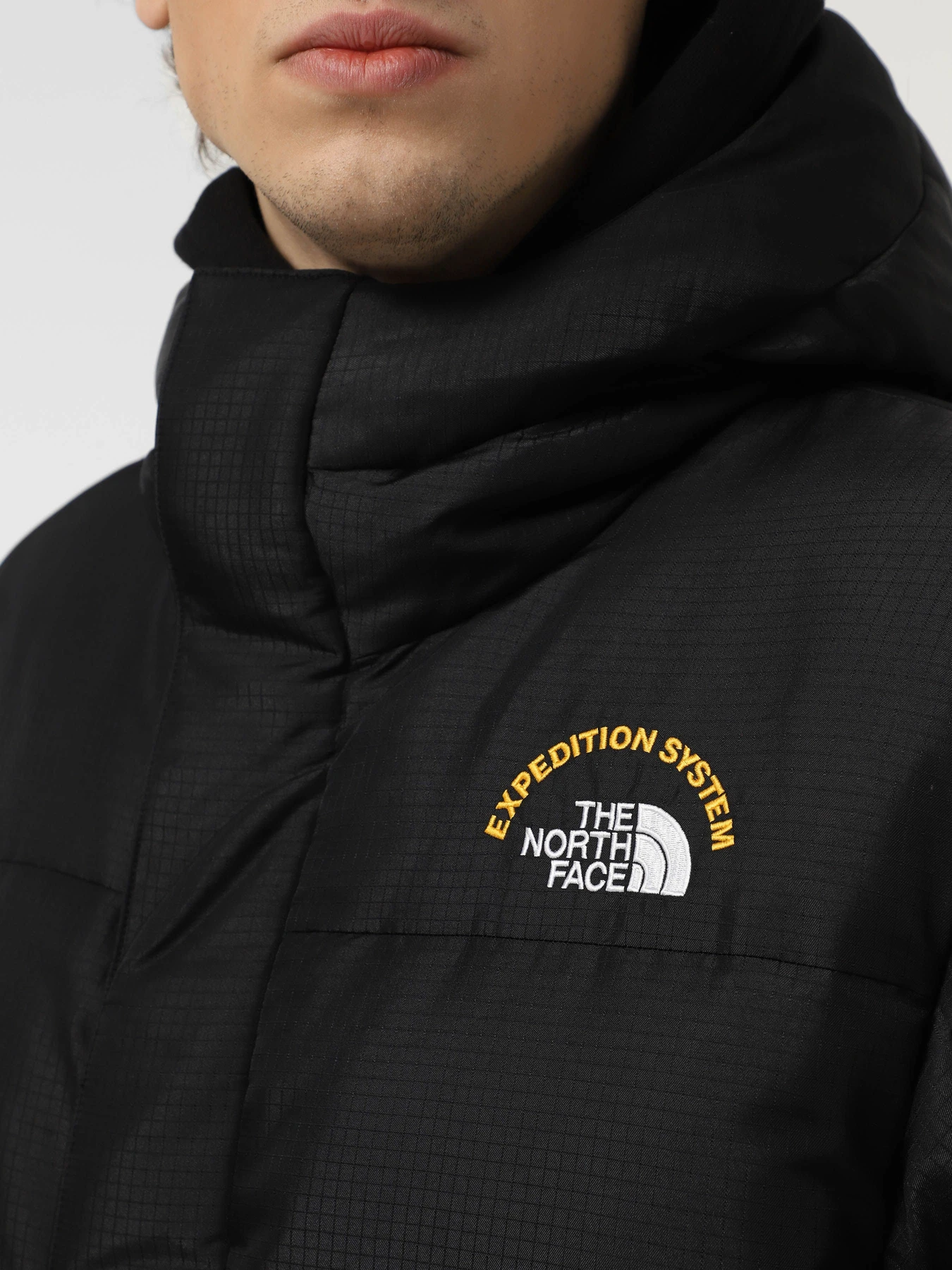 Куртки и дубленки The North Face Hmlyn 30 Anniversary модель NF0A88XEJK31 Фото