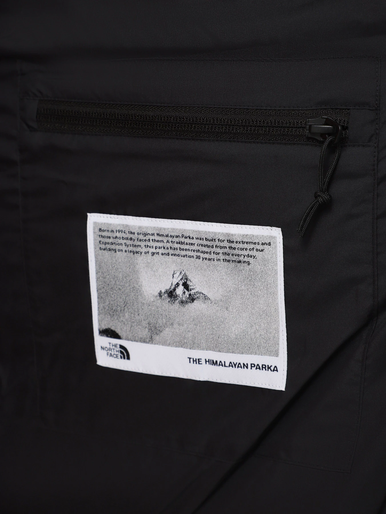 Куртки и дубленки The North Face Hmlyn 30 Anniversary модель NF0A88XEJK31 Фото