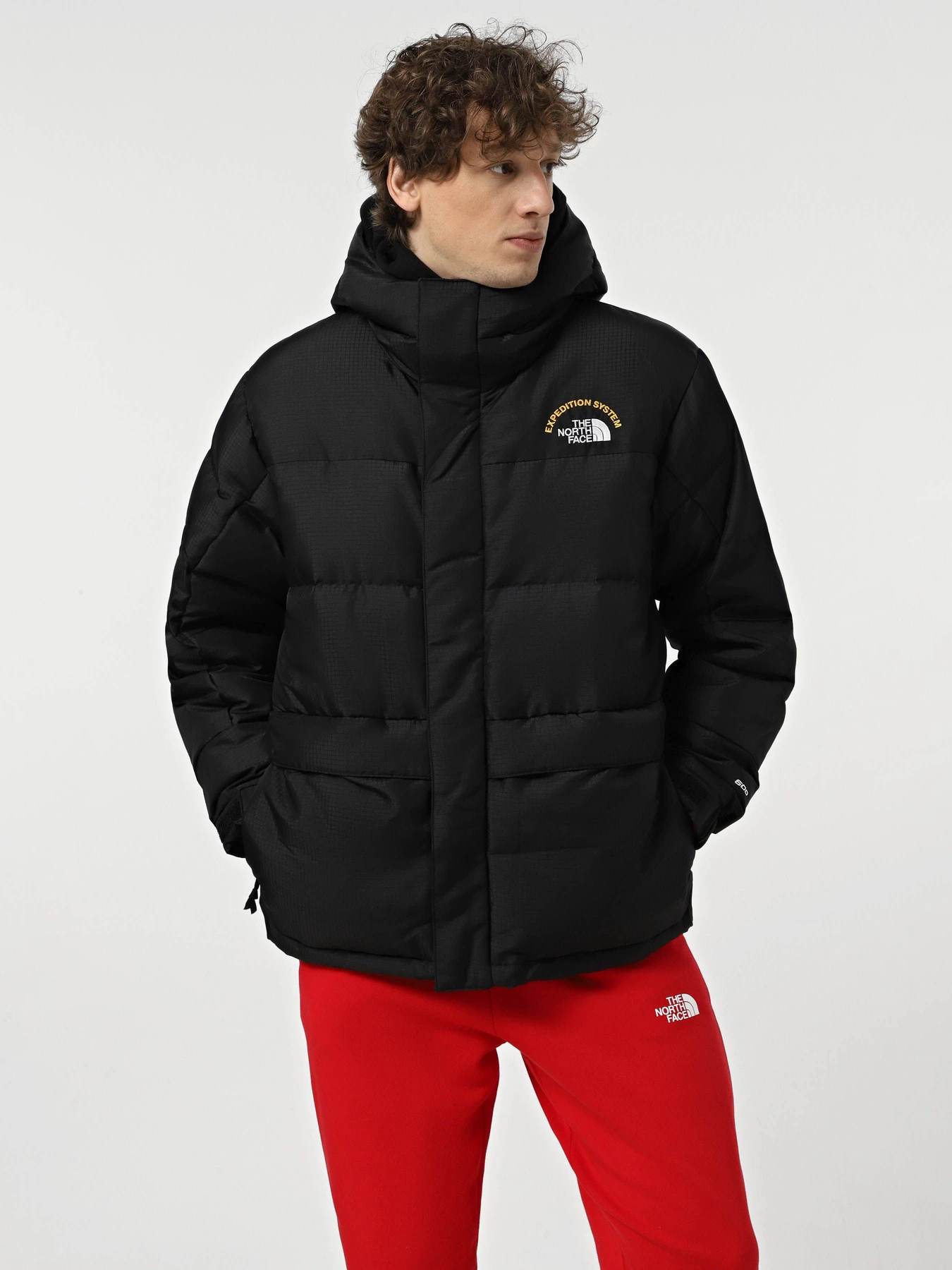 Куртки и дубленки The North Face Hmlyn 30 Anniversary модель NF0A88XEJK31 Фото