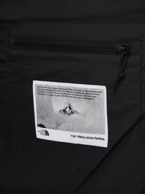 Куртки и дубленки The North Face Hmlyn 30 Anniversary модель NF0A88XEJK31 Фото