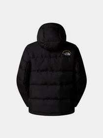 Куртки и дубленки The North Face Hmlyn 30 Anniversary модель NF0A88XEJK31 Фото