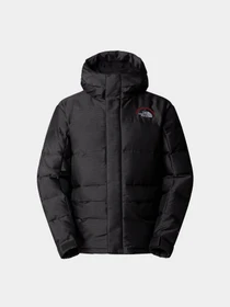 Куртки та дублянки The North Face Hmlyn 30 Anniversary модель NF0A88XE1OA1 Фото