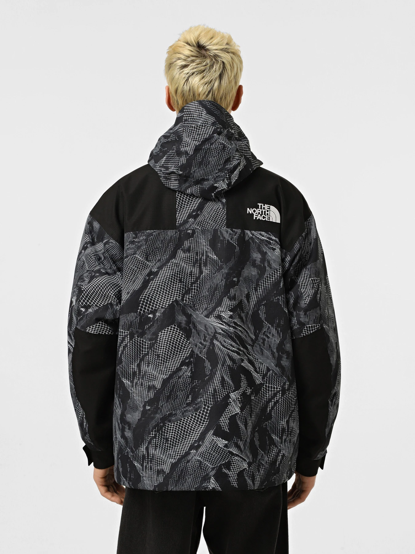 Куртки и дубленки The North Face Mountain Mono модель NF0A88XF6OG1 Фото