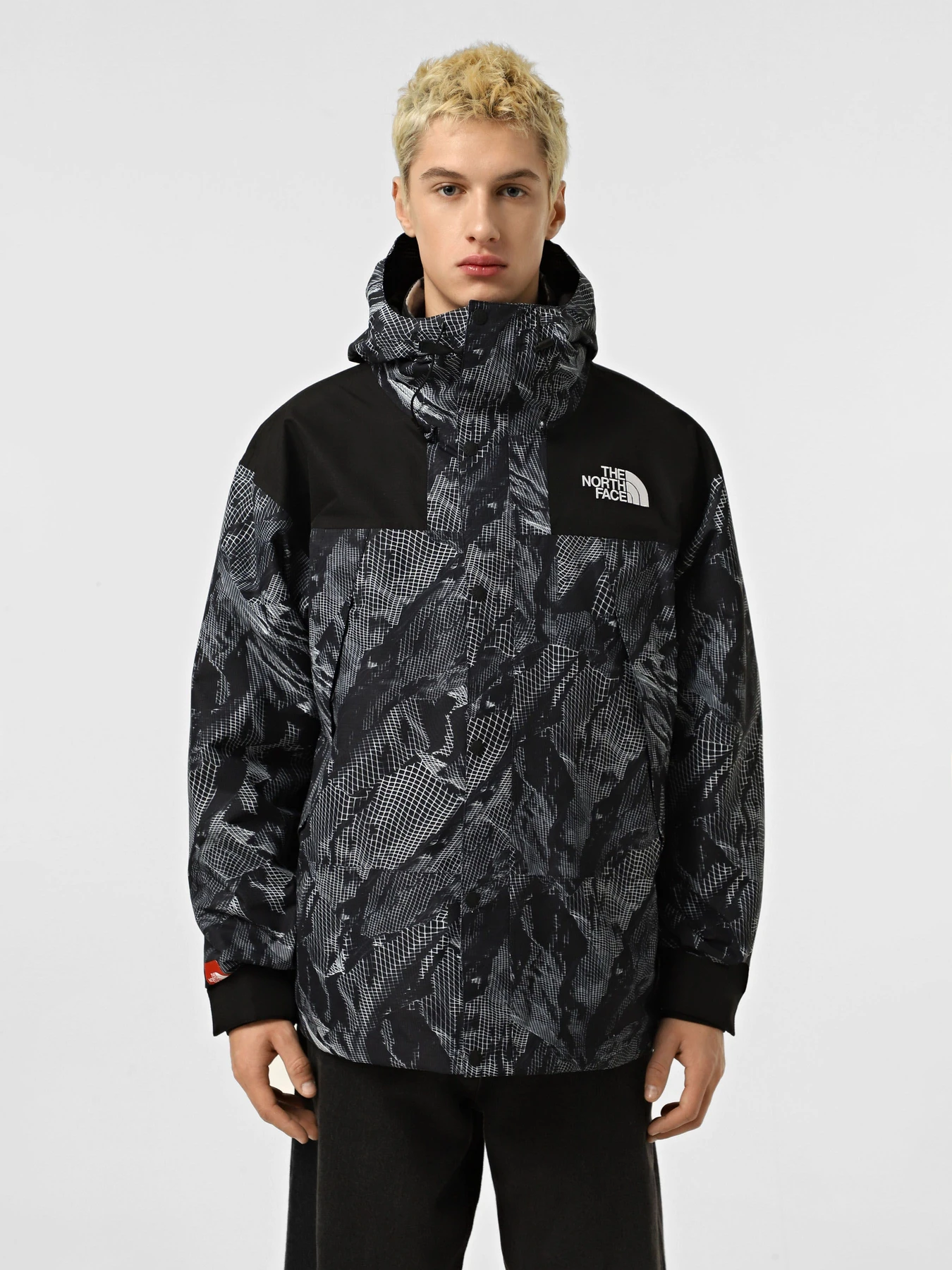 Куртки и дубленки The North Face Mountain Mono модель NF0A88XF6OG1 Фото