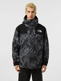 Куртки и дубленки The North Face Mountain Mono модель NF0A88XF6OG1 Фото