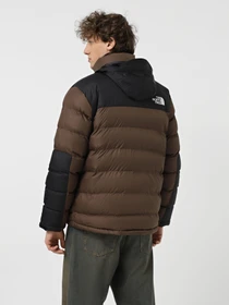 Куртки та дублянки The North Face Monterosa Insulated модель NF0A89EG1OI1 Фото