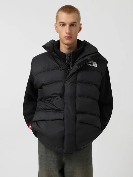 Куртки и дубленки The North Face Limbara модель NF0A89G6JK31 Фото