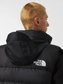 Куртки и дубленки The North Face Limbara модель NF0A89G6JK31 Фото