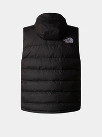 Куртки и дубленки The North Face Limbara модель NF0A89G6JK31 Фото