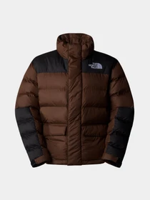 Куртки та дублянки The North Face Monterosa Insulated модель NF0A89G91OI1 Фото