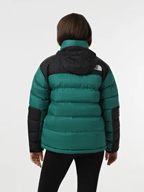Куртки и дубленки The North Face Monterosa Insulated модель NF0A89G9NL11 Фото