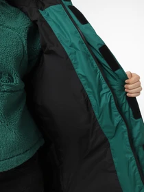 Куртки и дубленки The North Face Monterosa Insulated модель NF0A89GANL11 Фото