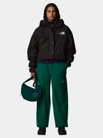 Куртки и дубленки The North Face Reign On модель NF0A8BCHJK31 Фото