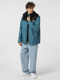 Куртки и дубленки The North Face Evolve II Triclimate модель NF00CG55SF71 Фото