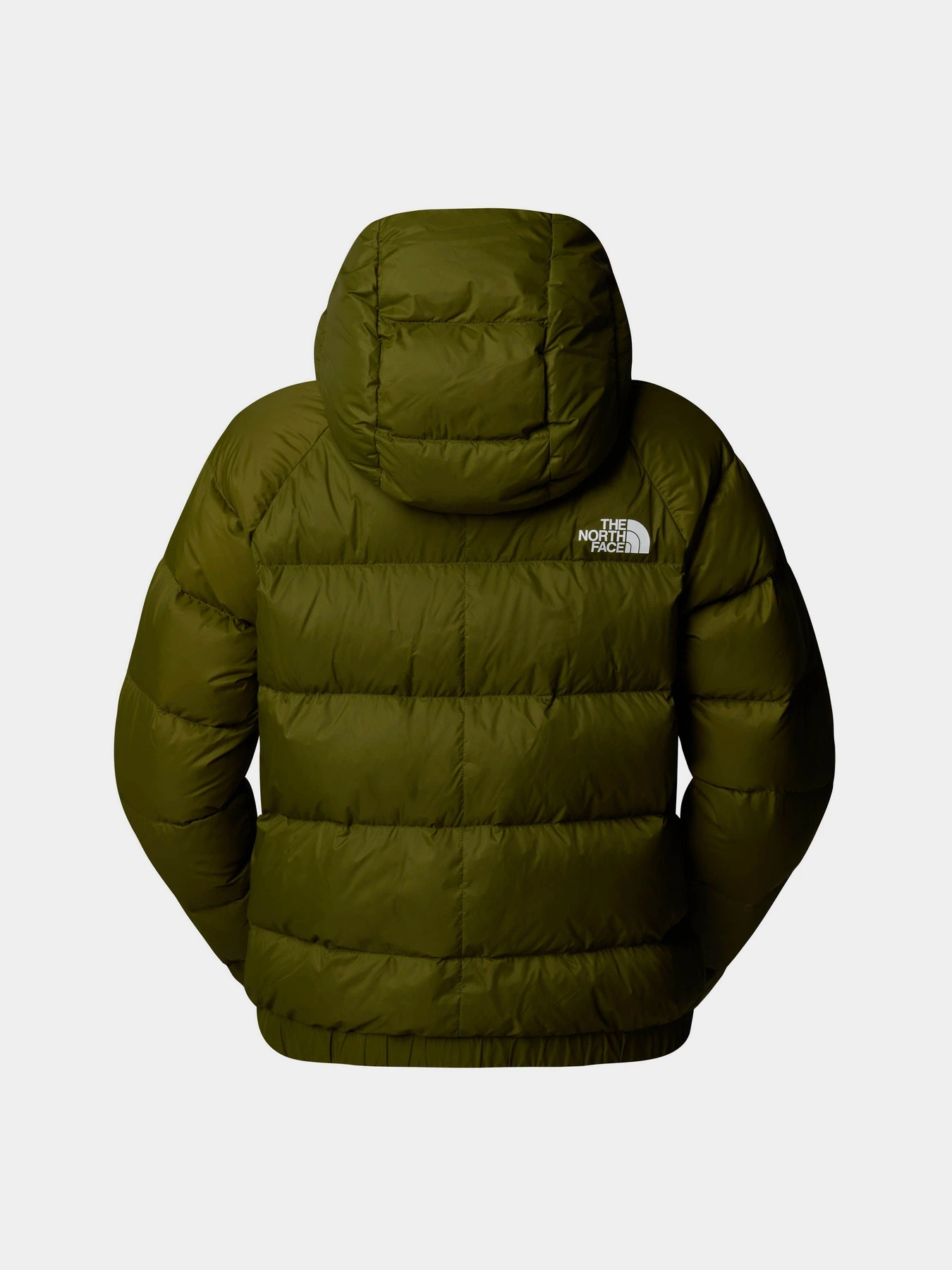 Куртки и дубленки The North Face Hyalite модель NF0A3Y4RPIB1 Фото