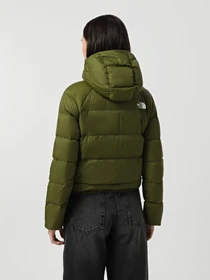 Куртки и дубленки The North Face Hyalite модель NF0A3Y4RPIB1 Фото