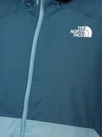 Куртки и дубленки The North Face Millerton Insulated модель NF0A3YFI5FO1 Фото