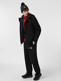 Куртки та дублянки The North Face Carto Triclimate 3-in-1 модель NF0A5IWI4H01 Фото