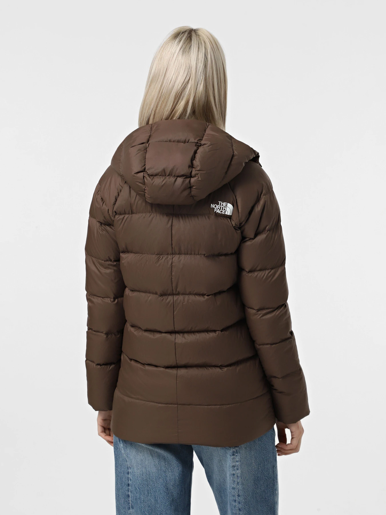 Куртки та дублянки The North Face Hyalite модель NF0A7Z9R1OI1 Фото