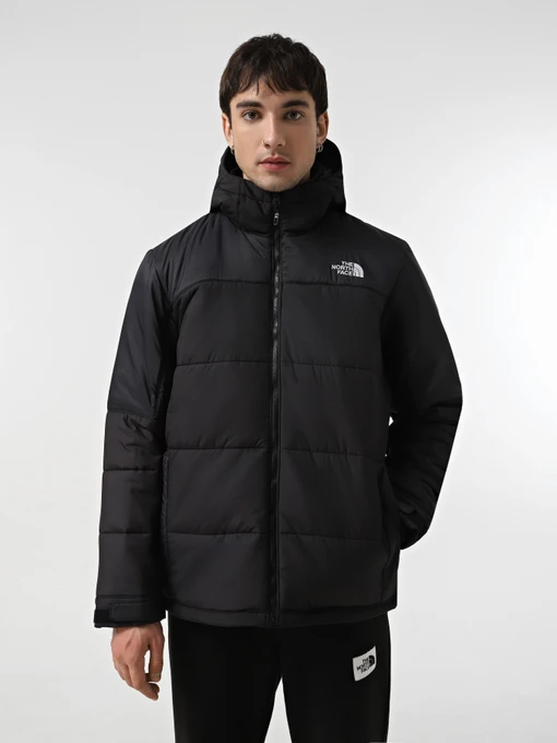 Куртки та дублянки The North Face Circular модель NF0A7ZIU4HF1 Фото