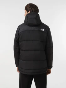 Куртки и дубленки The North Face Circular модель NF0A7ZIU4HF1 Фото