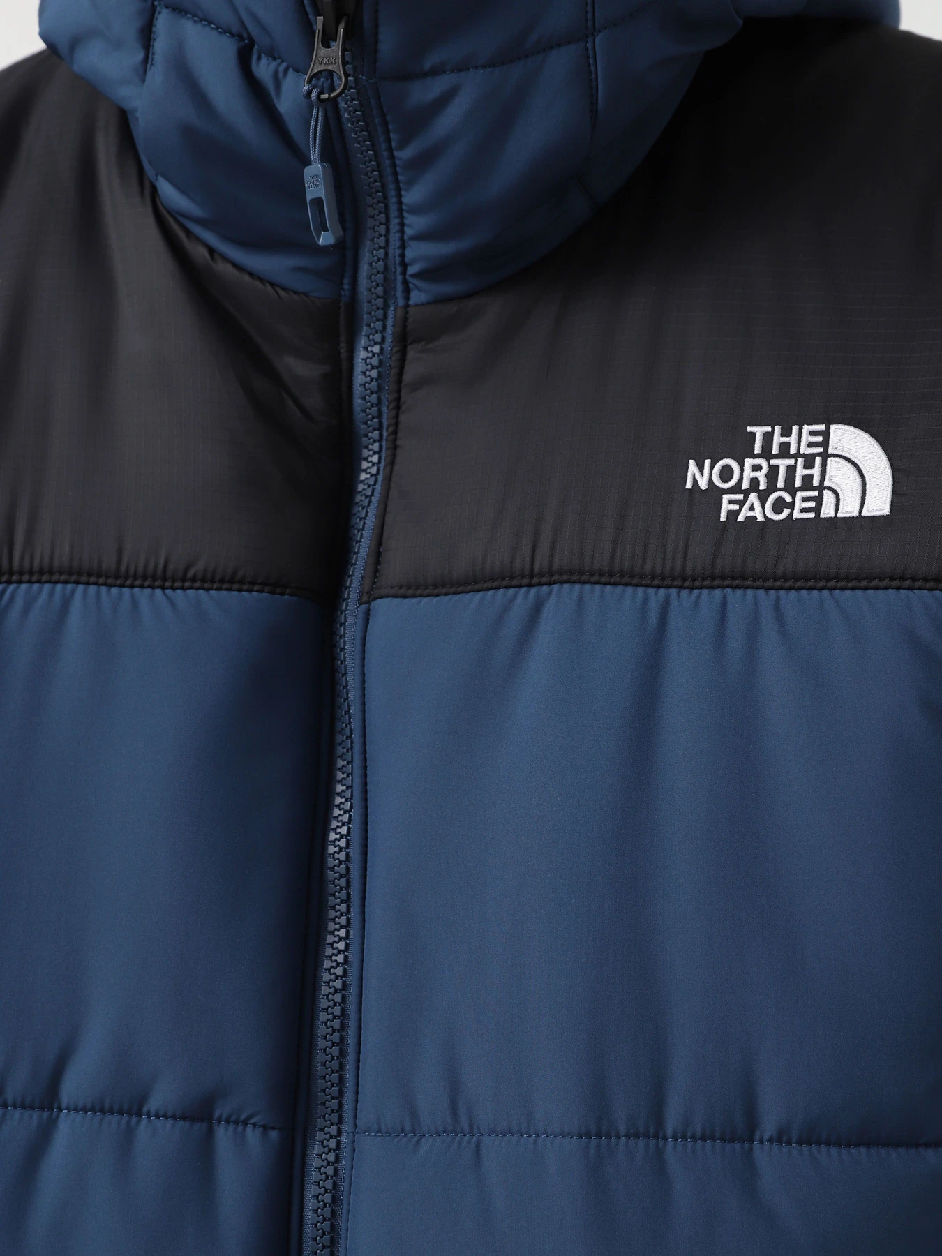 Куртки та дублянки The North Face Circular модель NF0A7ZIUB0B1 Фото