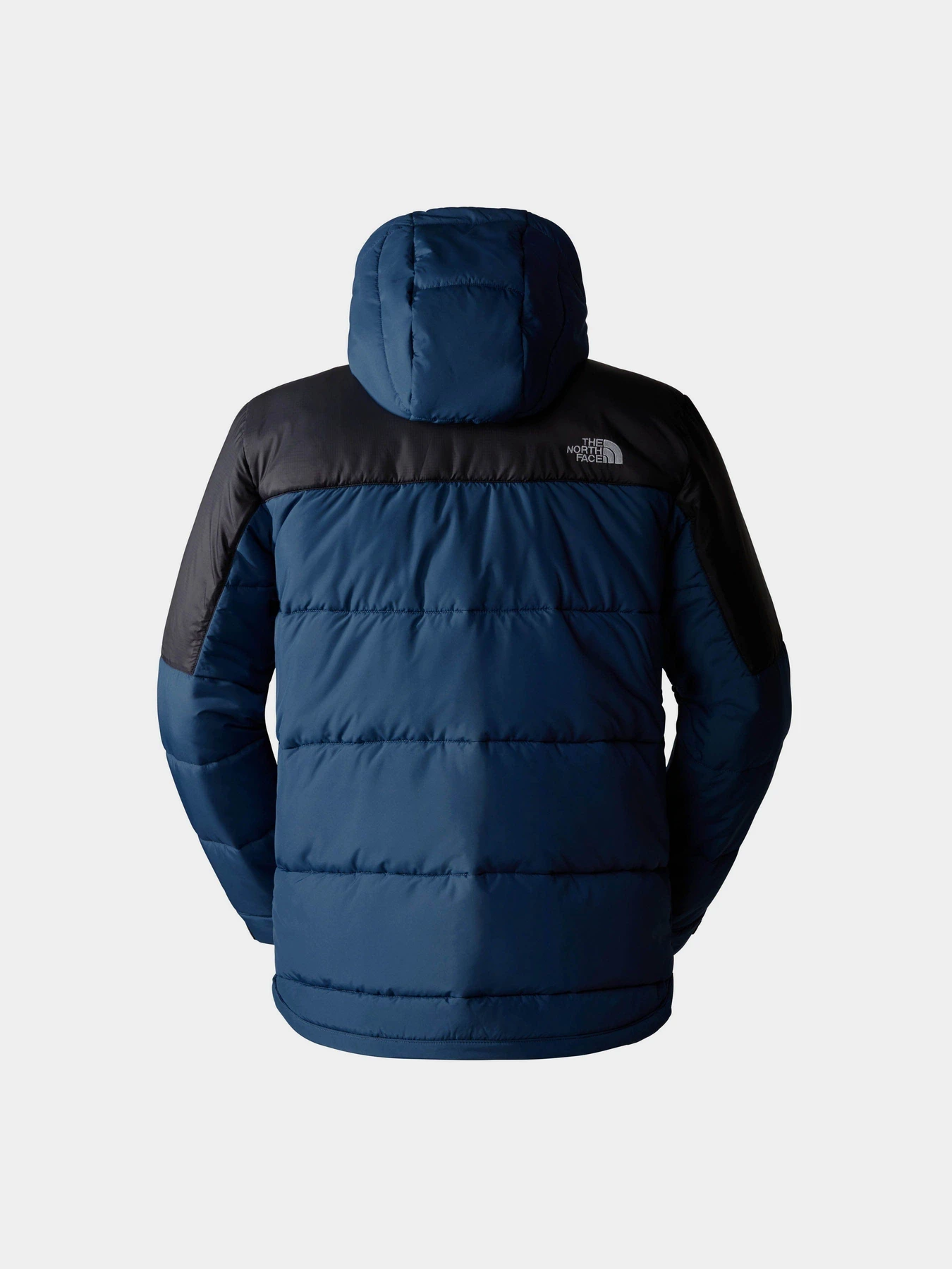 Куртки та дублянки The North Face Circular модель NF0A7ZIUB0B1 Фото