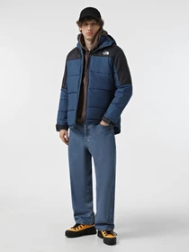 Куртки та дублянки The North Face Circular модель NF0A7ZIUB0B1 Фото