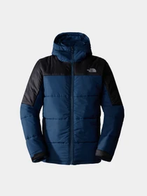 Куртки та дублянки The North Face Circular модель NF0A7ZIUB0B1 Фото