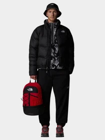 Куртки та дублянки The North Face Saikuru модель NF0A853IJK31 Фото