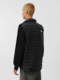 Куртки и дубленки The North Face Huila модель NF0A85AF4GZ1 Фото