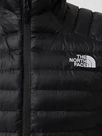 Куртки и дубленки The North Face Huila модель NF0A85AF4GZ1 Фото