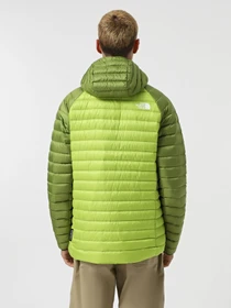 Куртки та дублянки The North Face Bettaforca Lt Down модель NF0A87GX7IK1 Фото