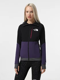 Худи и свитшоты The North Face Binntal Hybrid Ventrix модель NF0A87HP0IF1 Фото